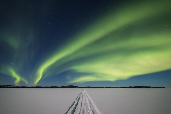 Northern lights tour to Lake Inari from Ivalo, Reindeers & Dinner - Key highlights worth caring about
