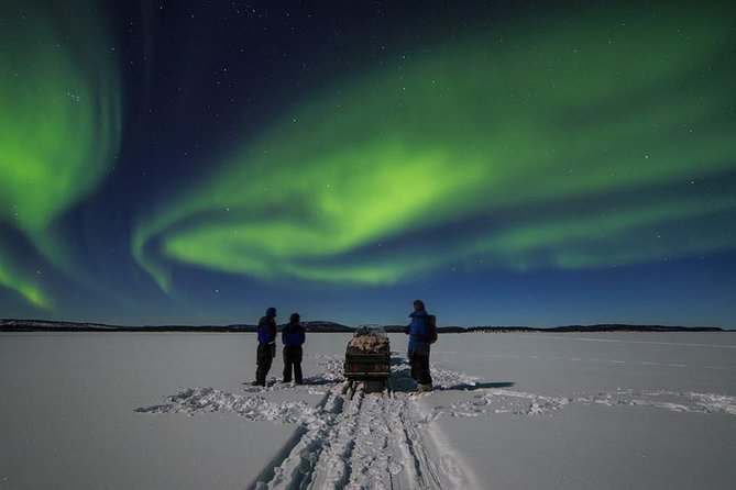 Northern lights tour to Lake Inari from Ivalo, Reindeers & Dinner - The snowmobile-pulled sleigh ride: why it matters