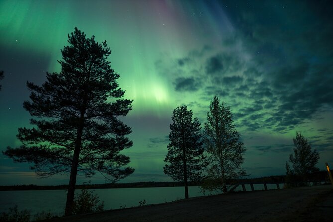 Northern Lights Tour with BBQ and drinks - Price and value: what you are really paying for at $138.78
