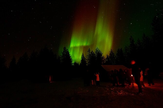 Northern Lights Trip to a Magical Place in Lapland - Professional Photos and Email Delivery: Getting Results You Can Keep