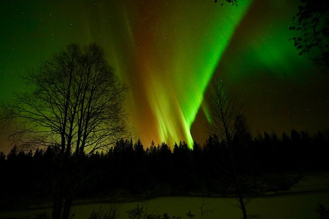 Northern Lights Trip to a Magical Place in Lapland - Who Should Book This Lapland Aurora Trip (and Who Might Not)