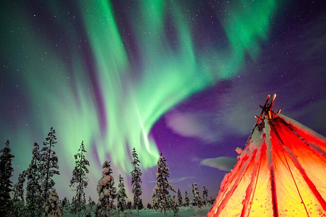 Northern Lights Wilderness Small-Group Tour from Rovaniemi - Quick take: what makes this tour work