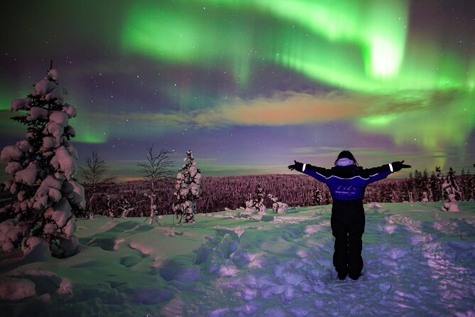 Northern Lights Wilderness Small-Group Tour from Rovaniemi - Northern Lights hunting in Lapland, not just city stargazing