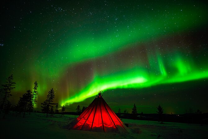 Northern Lights Wilderness Small-Group Tour from Rovaniemi - The 4-hour route: up to 3 locations and a guide-led aurora hunt
