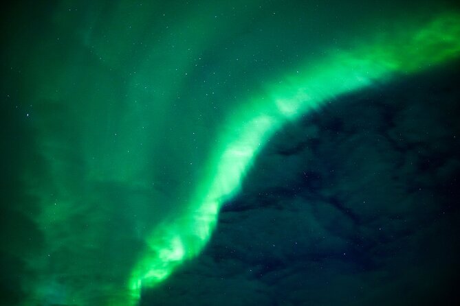 Northern Lights Wilderness Small-Group Tour from Rovaniemi - What happens at each stop: Lapland nature, learning, and the fire circle