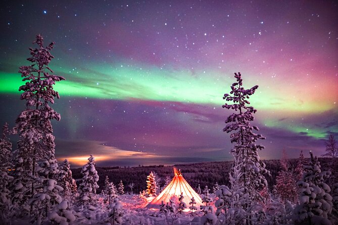 Northern Lights Wilderness Small-Group Tour from Rovaniemi - Price and value: is about $155.68 worth it?