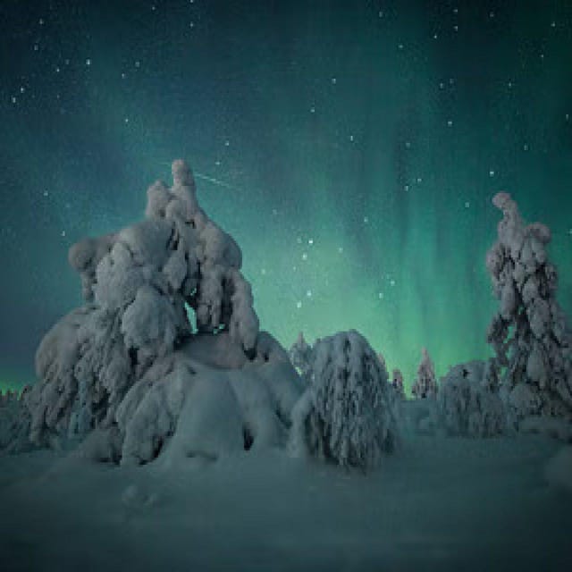 Polar Night Snowshoe Trek - Price and value: what $152 includes, and what might cost extra