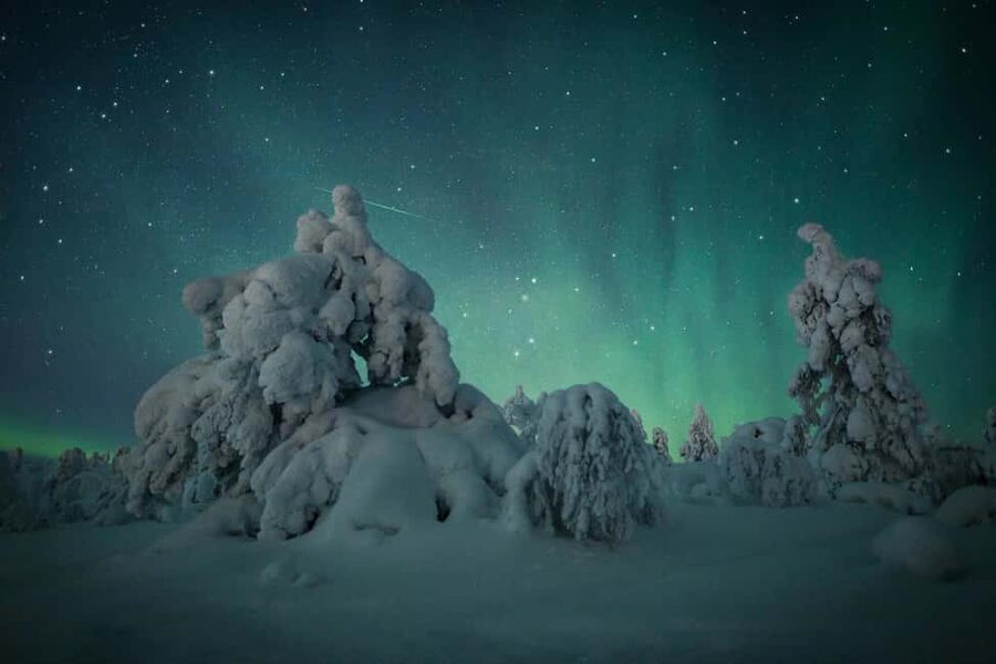 Polar Night Snowshoe Trek - Languages and guide style: English, Finnish, French, Spanish