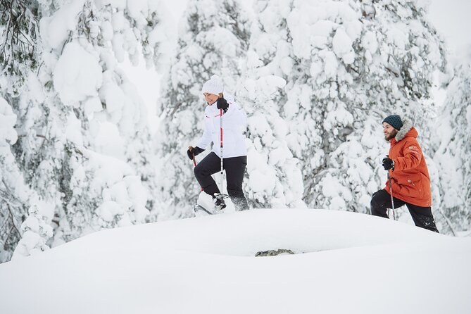 Premium Snowshoeing in Pyhä-Luosto National Park - Key Highlights You Will Actually Care About