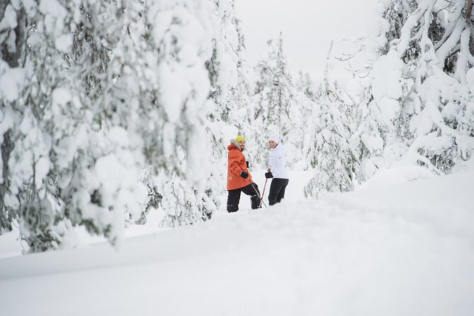 Premium Snowshoeing in Pyhä-Luosto National Park - Premium Snowshoeing in Pyhä-Luosto: What This Tour Is Really Like