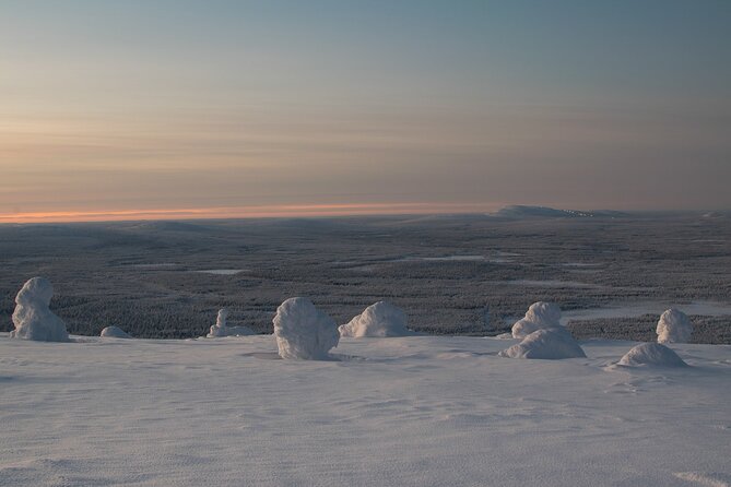 Premium Snowshoeing in Pyhä-Luosto National Park - The Bonfire Break: Hot Berry Drinks and Finnish-Style Comfort