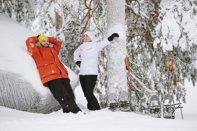 Premium Snowshoeing in Pyhä-Luosto National Park - Guides, Storytelling, and the Small-Group Advantage