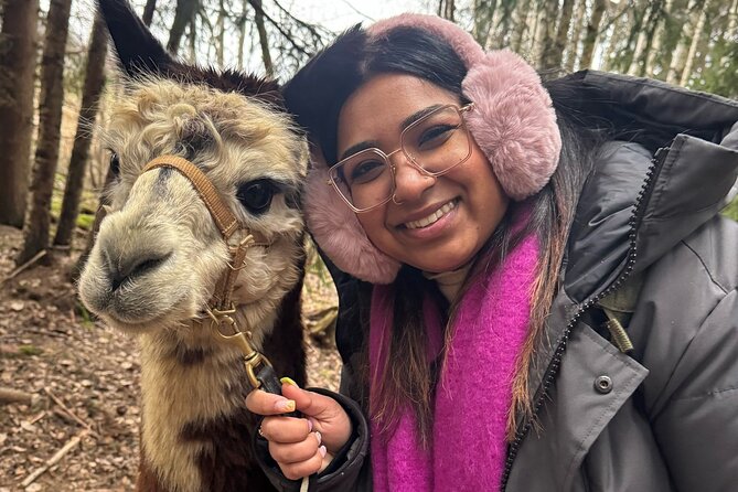 PRIVATE Alpaca Guided Forest Walk + Feeding Helsinki - What to Bring and How to Prepare for an Outdoors Farm Visit