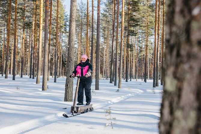 Private Driving Snow Scooters Experience in Finland - The Taiga Forest Section: Where the Fun Gets Real