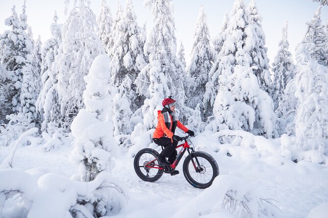 Private Electric Fat Bike Winter Tour in Rovaniemi - Electric fat bike winter riding in Rovaniemi, what makes it special