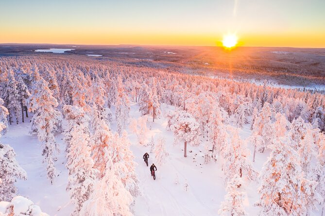 Private Electric Fat Bike Winter Tour in Rovaniemi - Ounasvaara Winter Trail, where the forest silence meets real winter riding