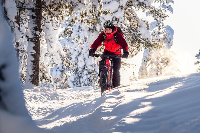 Private Electric Fat Bike Winter Tour in Rovaniemi - Gear, safety, and how to dress so you stay comfortable