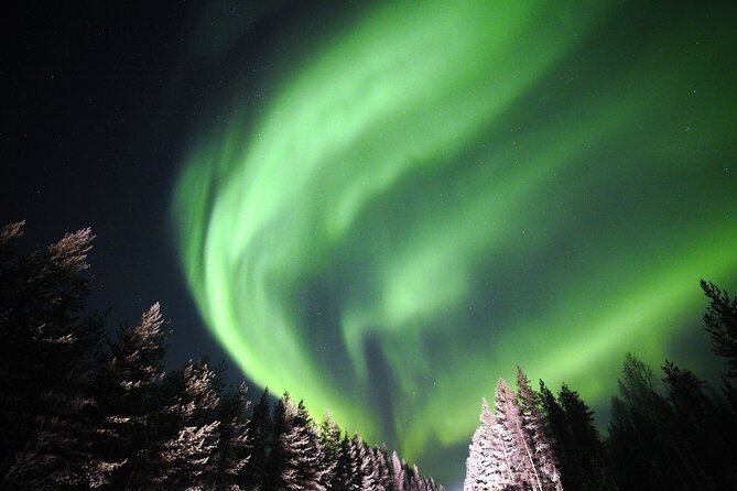 Private Group: Northern Lights Hunt 4x4 SUV with Aurora guarantee - Pickup, Start Time, And How Your Night Gets Moving