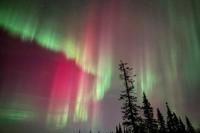 Private Group: Northern Lights Hunt 4x4 SUV with Aurora guarantee - When the Aurora Is Weak: How the Hunt Still Delivers
