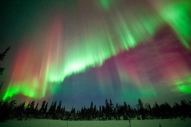 Private Group: Northern Lights Hunt 4x4 SUV with Aurora guarantee - Who This Tour Fits Best