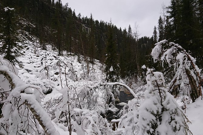 Private Korouoma Canyon Tour - Food, coffee, and small comforts that make the cold feel easier