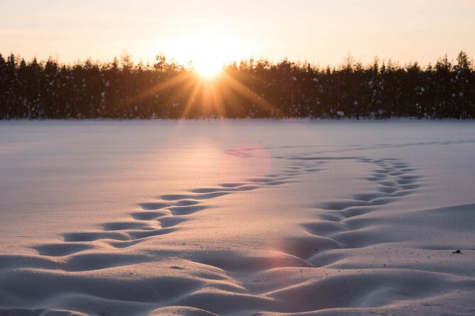 Private Lappish evening in the wilderness with traditional sauna and dinner - Price and Logistics: What Your $593 Covers (and Why It’s Not Just Tickets)