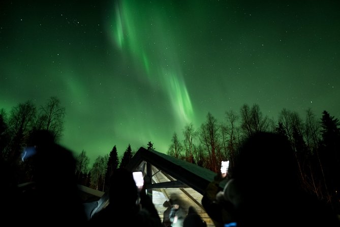 Private Northern Lights Hunting Expedition - Price and Value: Is This $216.74 Per Person Worth It?