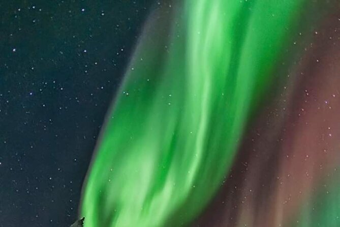 Private Northern Lights Hunting Tour Rovaniemi - Where to Meet at Scandic Rovaniemi (and What 9:00 PM Means)