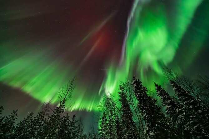 Private Northern Lights Hunting Tour Rovaniemi - The Drive Setup: WiFi, Cold Weather, and No Warm-Up Space