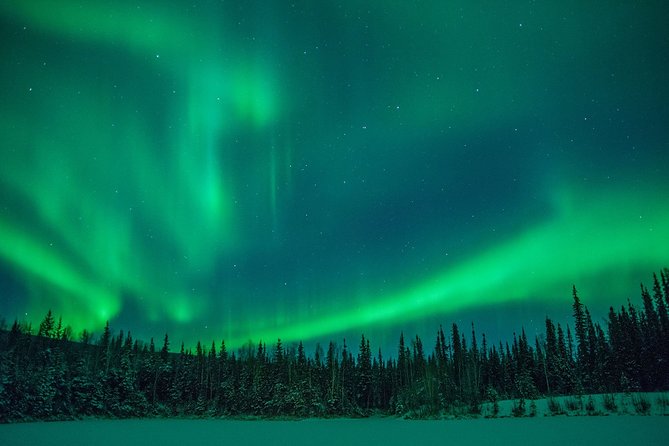 Private Northern Lights Hunting Tour Rovaniemi - Pickup and Group Size: Why This Night Feels Personal