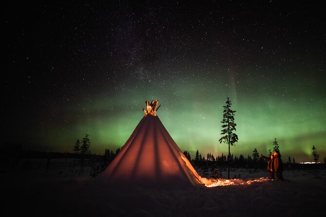 Private Northern Lights photography tour in Rovaniemi - Key Highlights You Actually Feel During the Tour