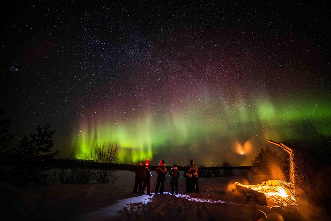 Private Northern Lights photography tour in Rovaniemi - Price and What $868.91 Buys You for Up to 4