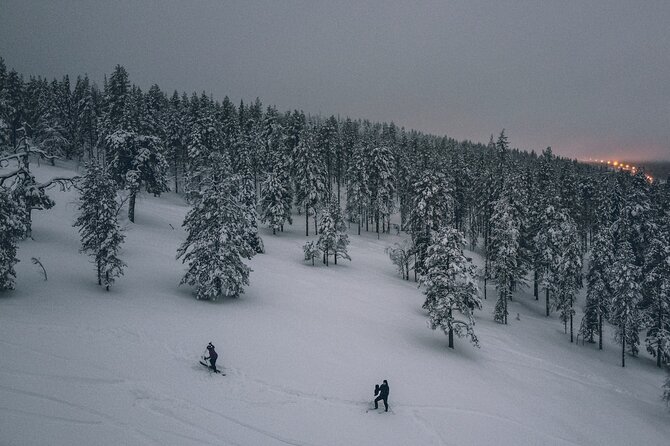 Private Northern Lights Tour With Skis Or Snowshoes in Pyhä - Who this private Pyhä tour fits best