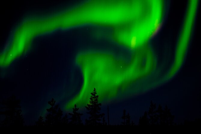 Private Northern Lights Tour With Skis Or Snowshoes in Pyhä - Price and value: why $169.24 feels fair for a private night in Lapland