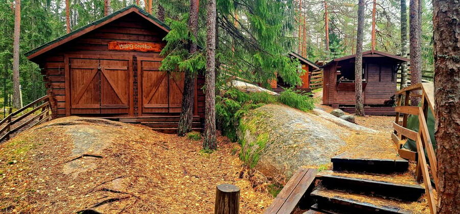 PRIVATE Reindeer Park Adventure by VIP Car - Practical Tips to Get the Most From Your 3 Hours