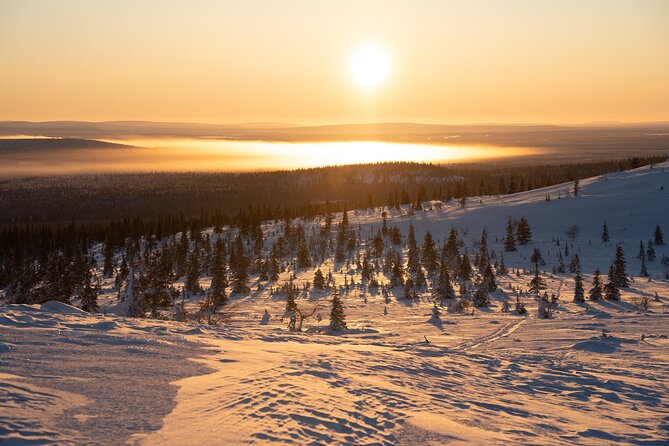 Private Snowshoe or Ski Adventure in Lapland from Rovaniemi - Timing, Pickup, and Meeting at Jaakonkatu 4-6