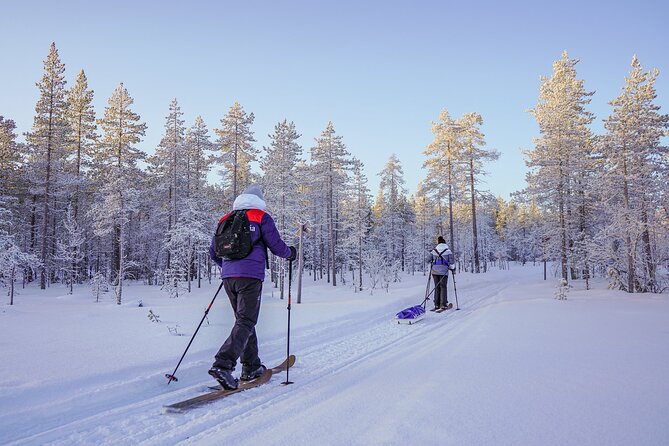 Private Snowshoe or Ski Adventure in Lapland from Rovaniemi - Who This Tour Suits Best
