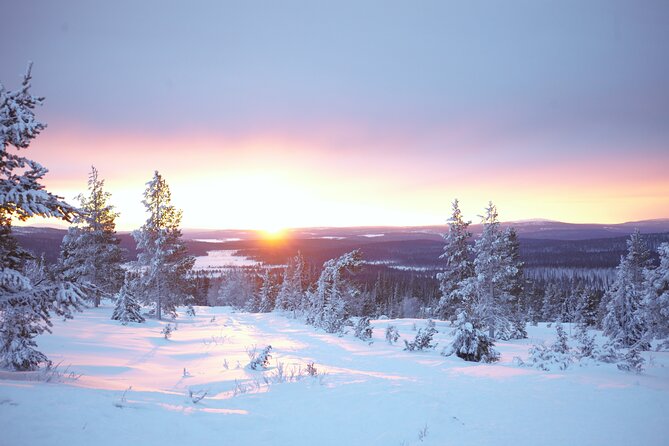 Private: Snowshoeing Safari in spectacular National Park - From Levi pickup to the national park: how the 4-hour flow really works