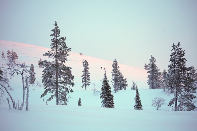 Private: Snowshoeing Safari in spectacular National Park - Winter clothing and fitness: the two practical considerations