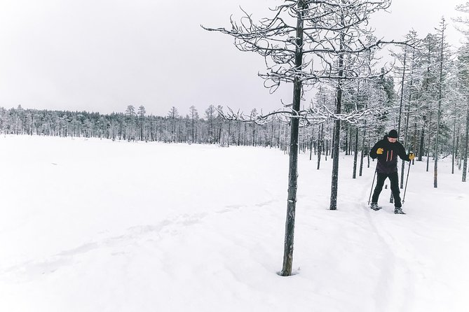 Private Snowshoeing Tour In Pyhätunturi With A Local Guide - Why the snowshoes and your boots matter more than you think