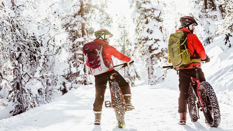 Pyhätunturi: Electric Fatbike Tour in Finnish Lapland - 105 Minutes in the Arctic Taiga: The Guided Snow-Path Experience
