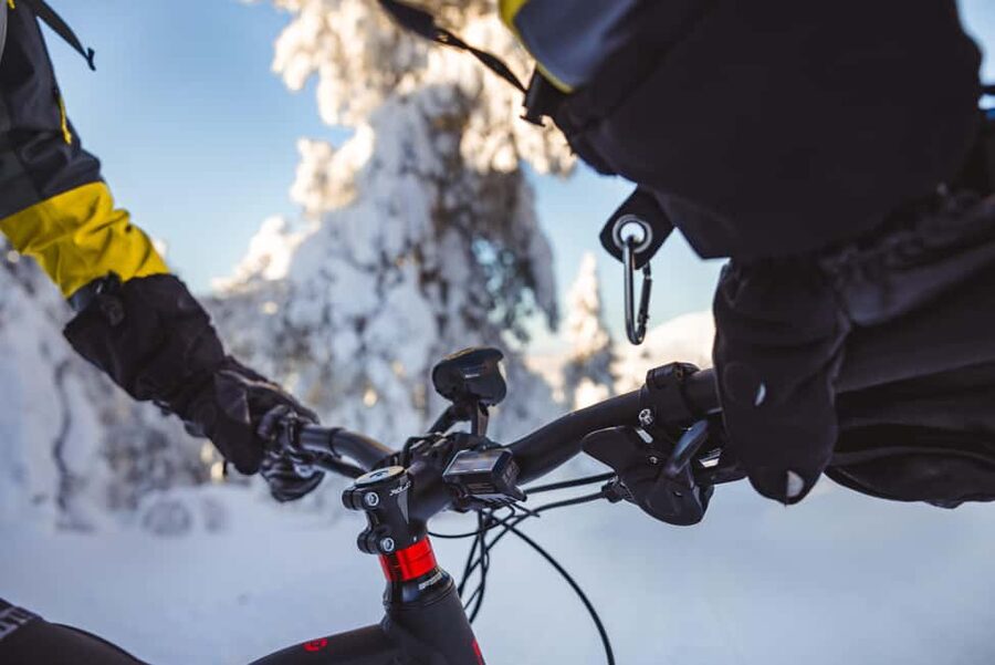 Pyhätunturi: Electric Fatbike Tour in Finnish Lapland - Stories, Winter Flora and Fauna, and the Hot Berry Pause