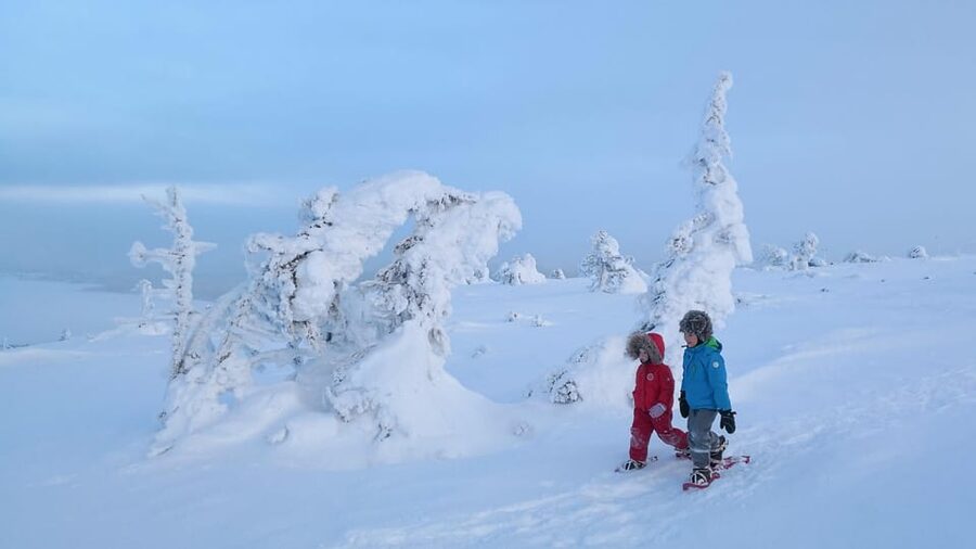 Pyhätunturi: Scenic Snowshoeing Tour in Finnish Lapland - The 105-minute guided walk in Pyhä-Luosto National Park