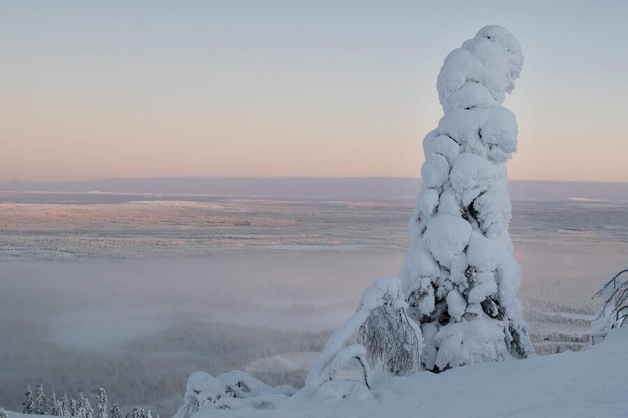 Pyhätunturi: Scenic Snowshoeing Tour in Finnish Lapland - Winter photo magic on the fell: snow monsters, halos, and sky color
