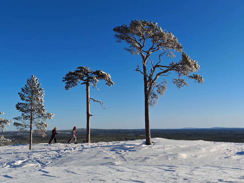 Pyhätunturi: Try Wilderness Skiing in Finnish Lapland - The forest part: what you’ll notice once you stop rushing