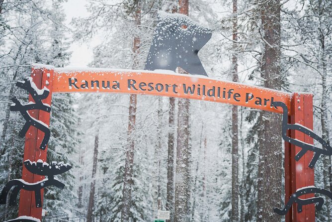 Ranua Wildlife Park Day: Visit the Arctic Animals - Why Ranua Wildlife Park feels different from a typical zoo