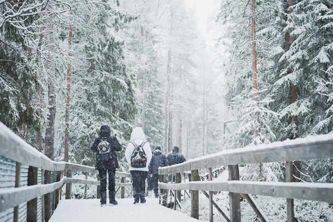 Ranua Wildlife Park Day : Visit the Arctic Animals! - When things don’t go perfectly: winter closures and animal visibility