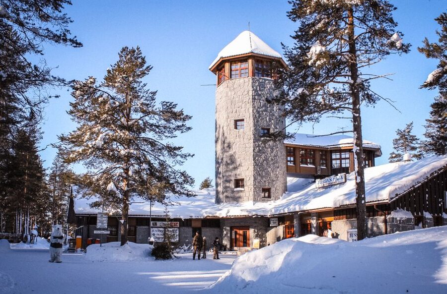 Ranua Wildlife Park Guided Tour from Rovaniemi - Key things I’d plan around before you go