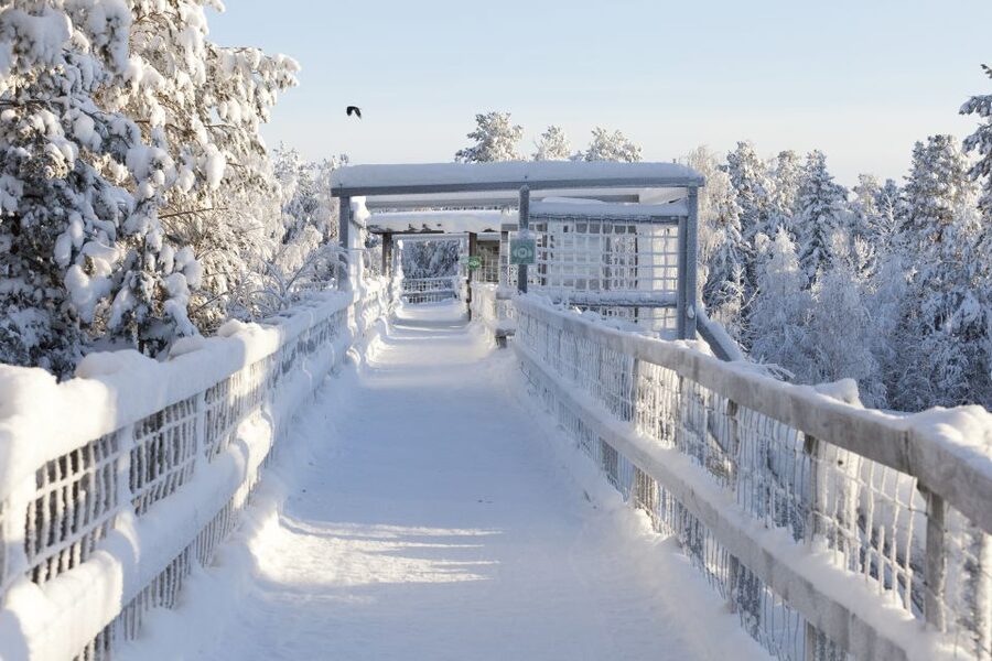 Ranua Wildlife Park Guided Tour from Rovaniemi - Price and value: is $165 fair for what you get?