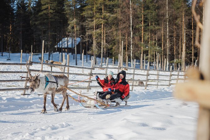 Reindeer Experience with Sledge Ride - Price and value: what you’re paying for at $104.76